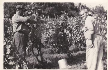 Foto z minulosti Foto z minulosti